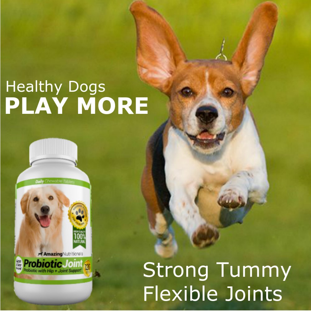 Probiotics for Dogs 120 Chews C6895