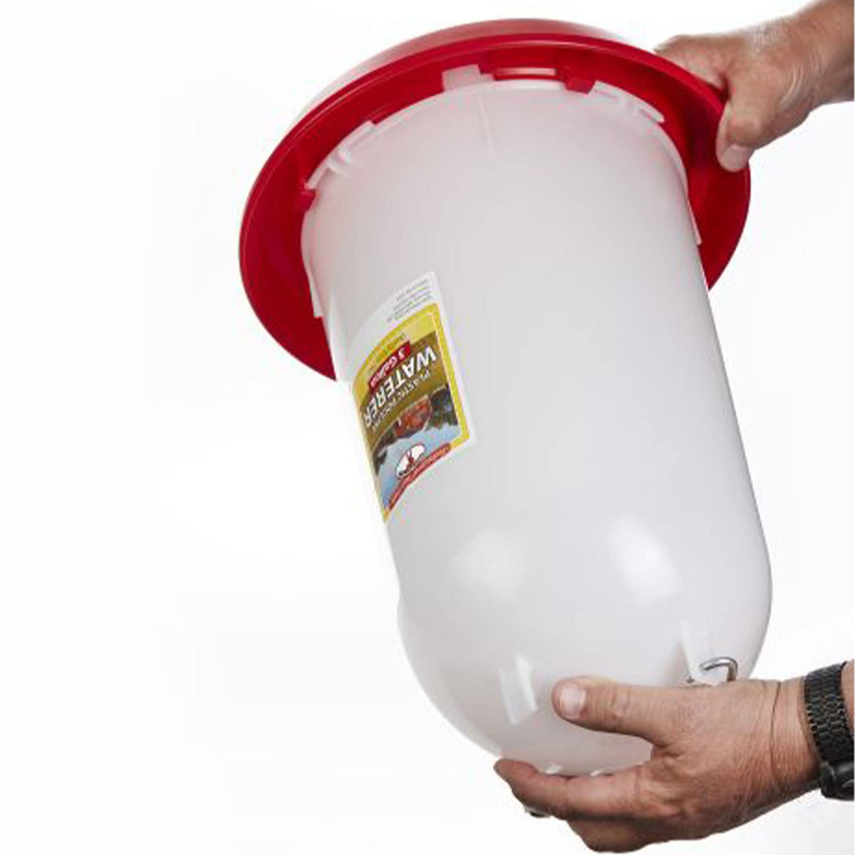 3 Gallon Heavy-Duty Gravity-Fed Poultry Waterer 2-Pack G479872
