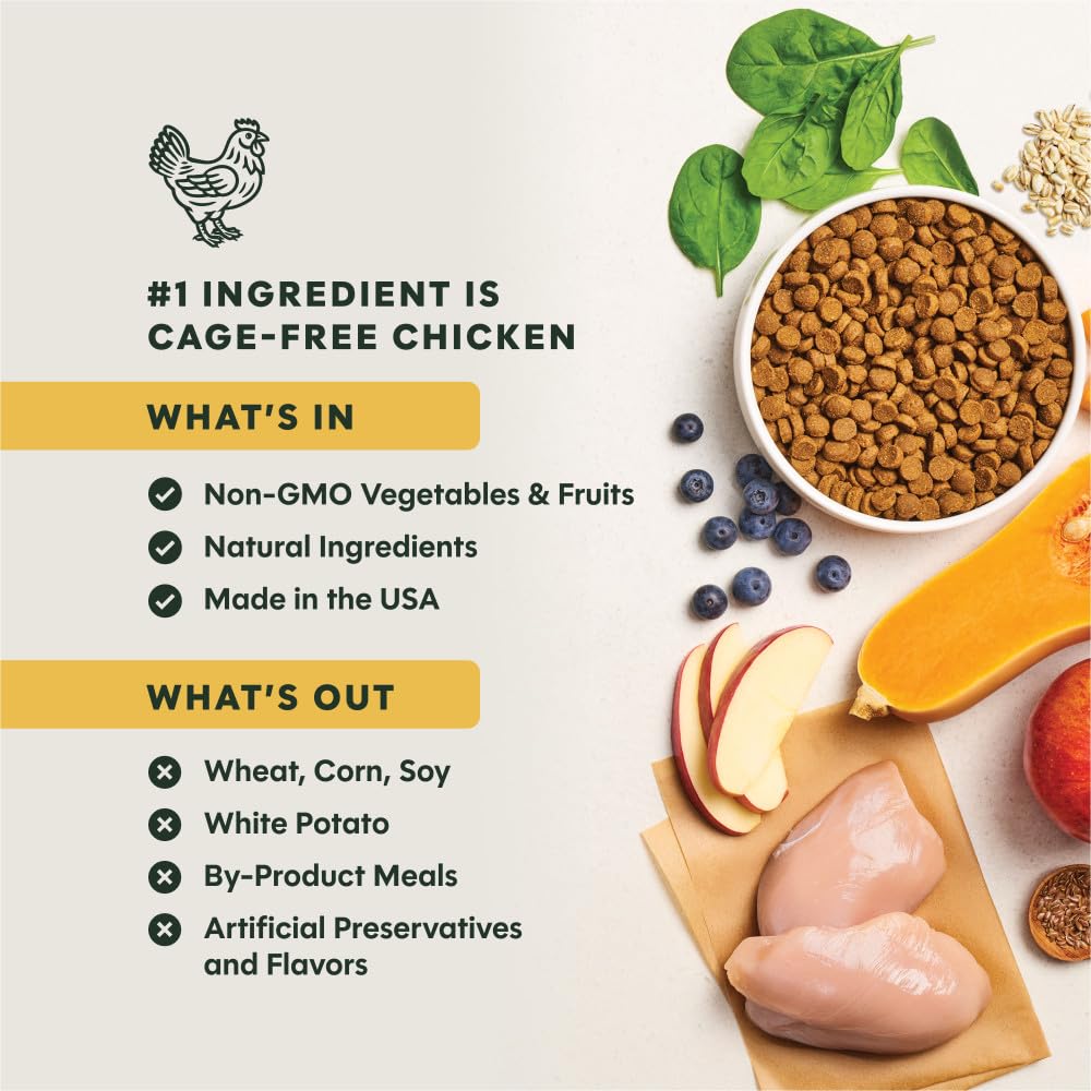 Whole Grain Chicken & Brown Rice Dry Dog Food 25 lb V99543