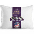 King Size Down Alternative Pillows Set of 2 Q387230