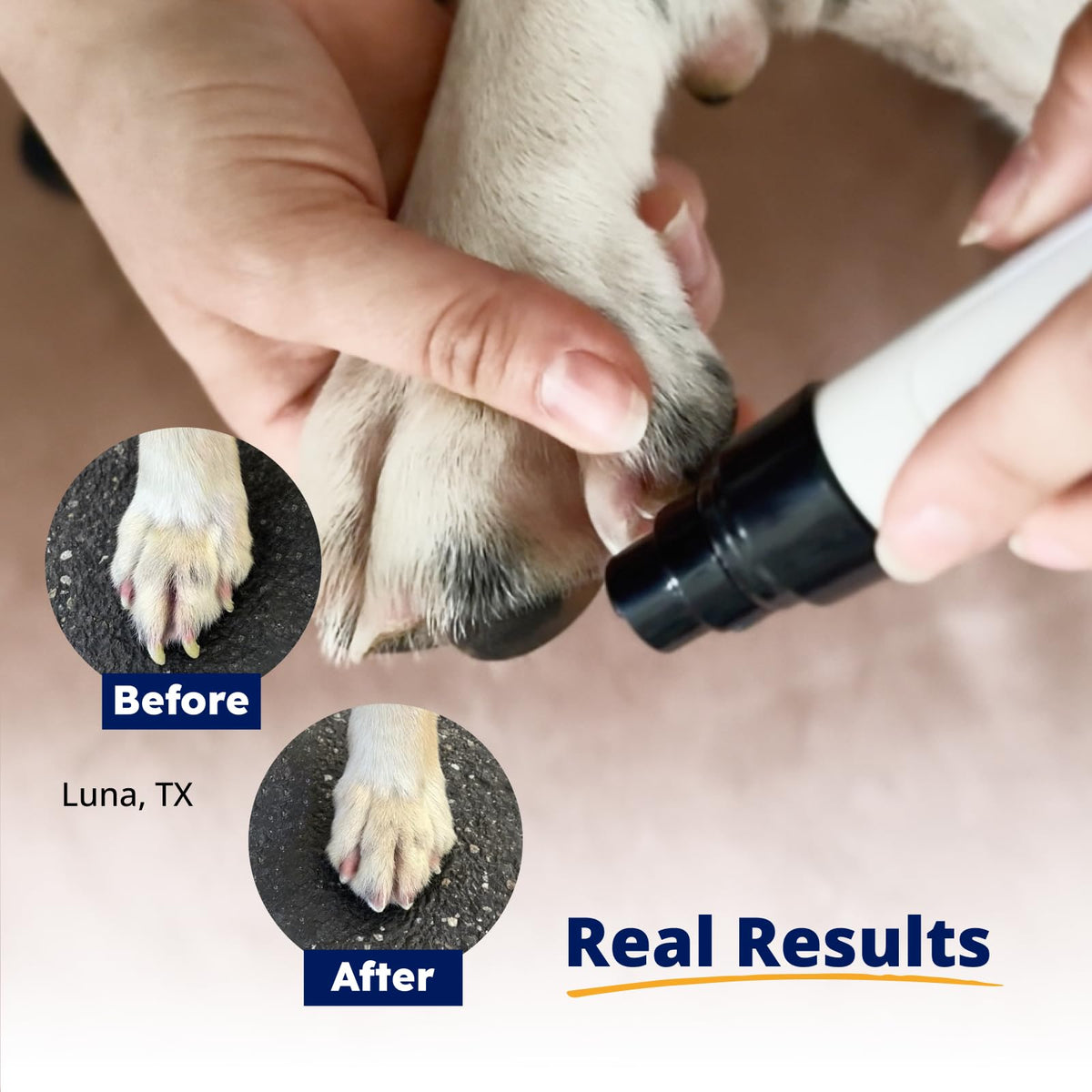 Pet Nail Grinder + Replacement Drum Grinders (3 pcs) + Pet Paw Trimmer V72370