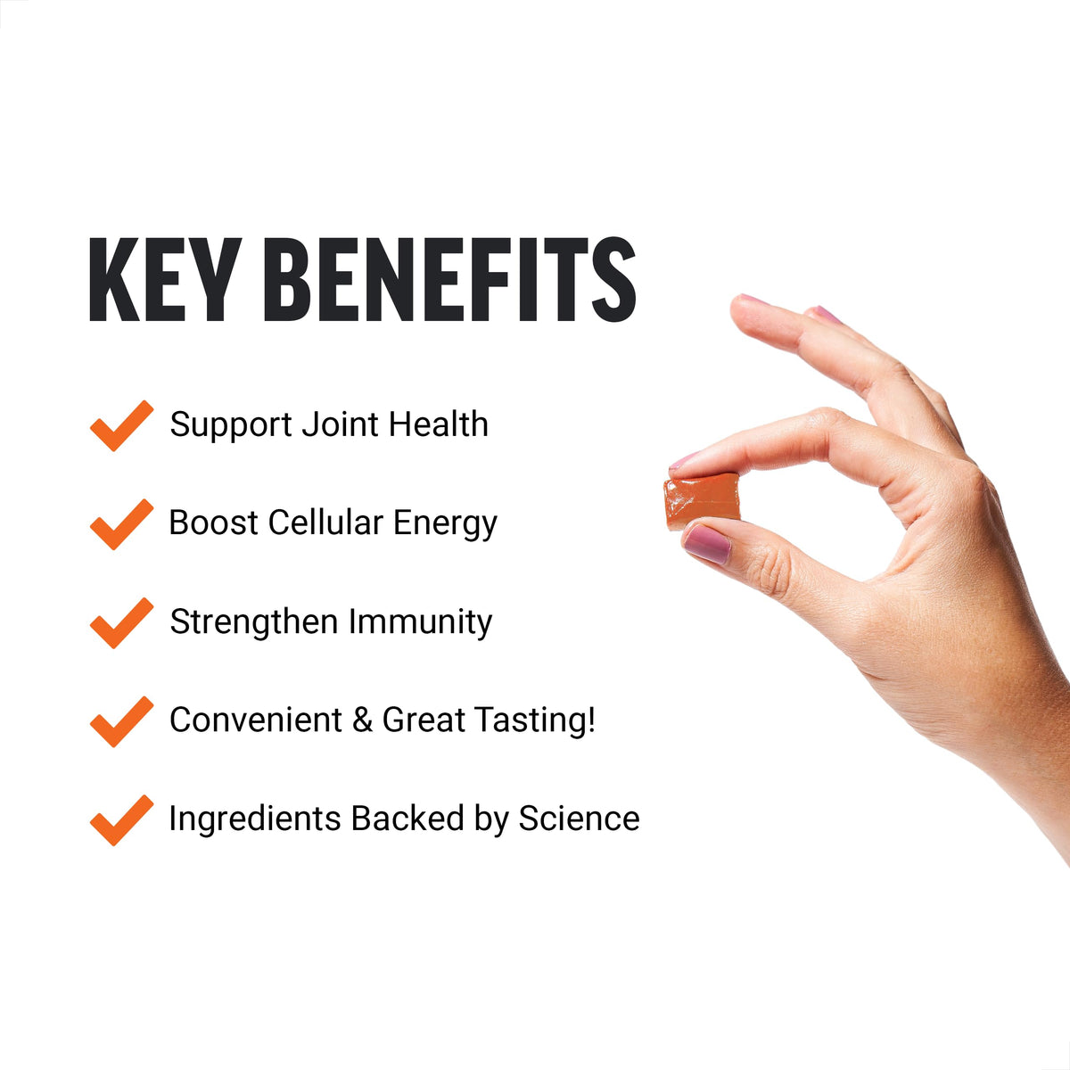 Beet Soft Chews and Turmeric Joint Support Supplement R6907
