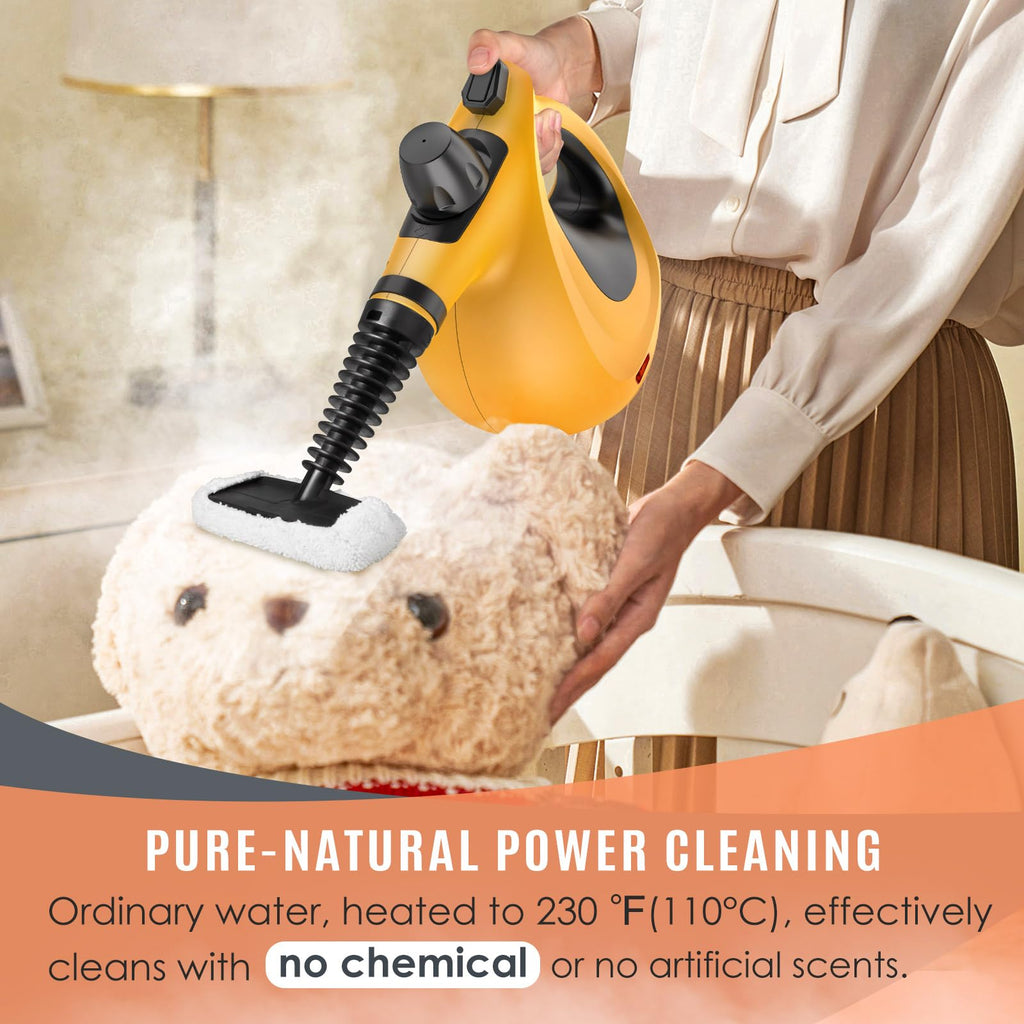 Pressurized Handheld Multi-Surface Natural Steam Cleaner with 12 pcs Accessories X574