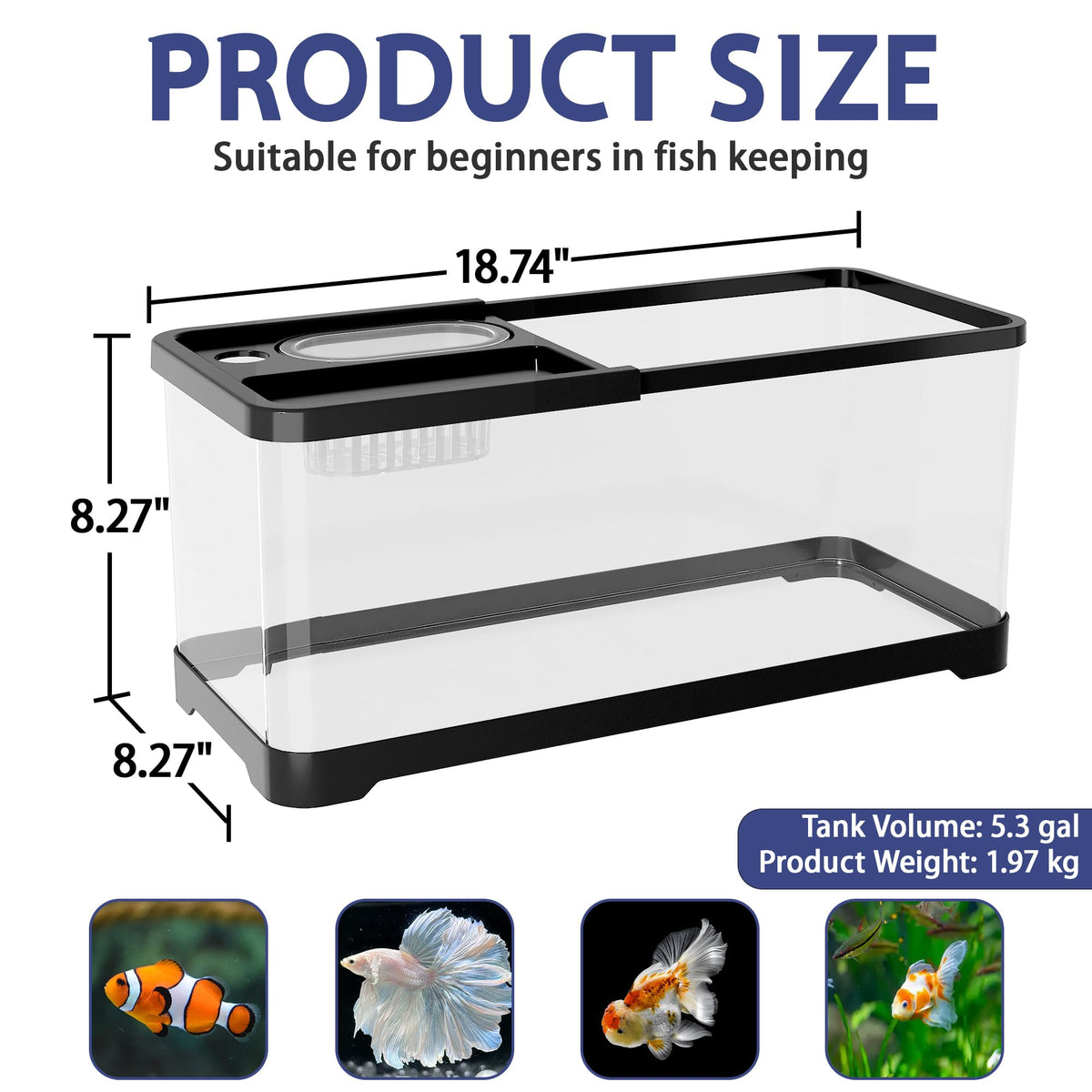 5.3 Gallon Fish Tank Starter Kit T57877