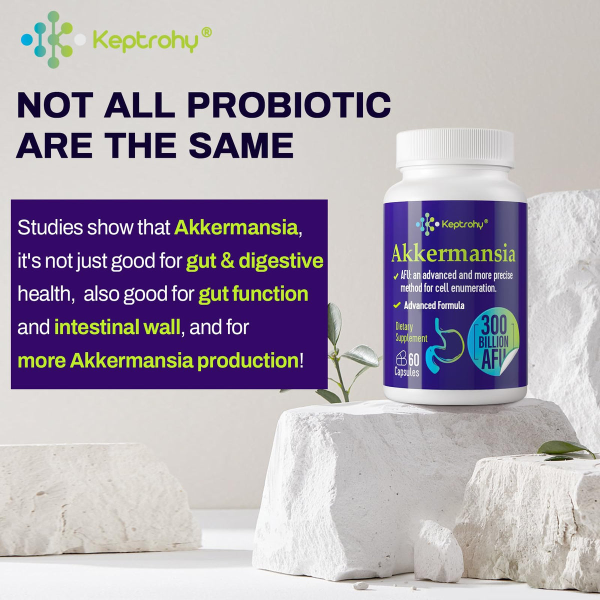 Akkermansia Muciniphila Probiotic 60 Count K3984
