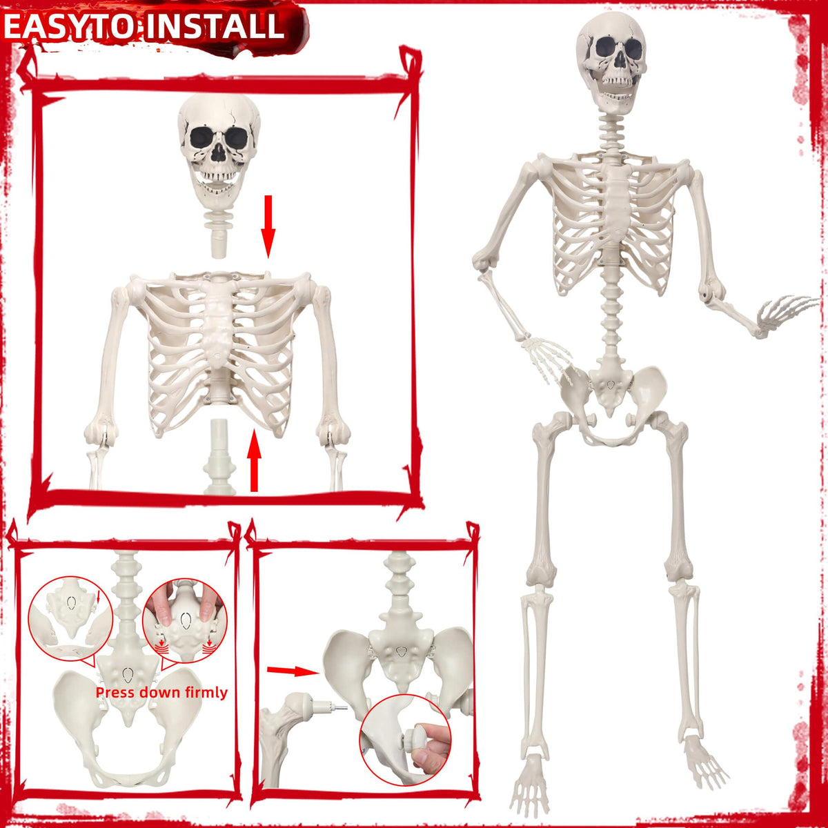 5.4Ft Poseable Skeleton Plastic Human Bones K720846