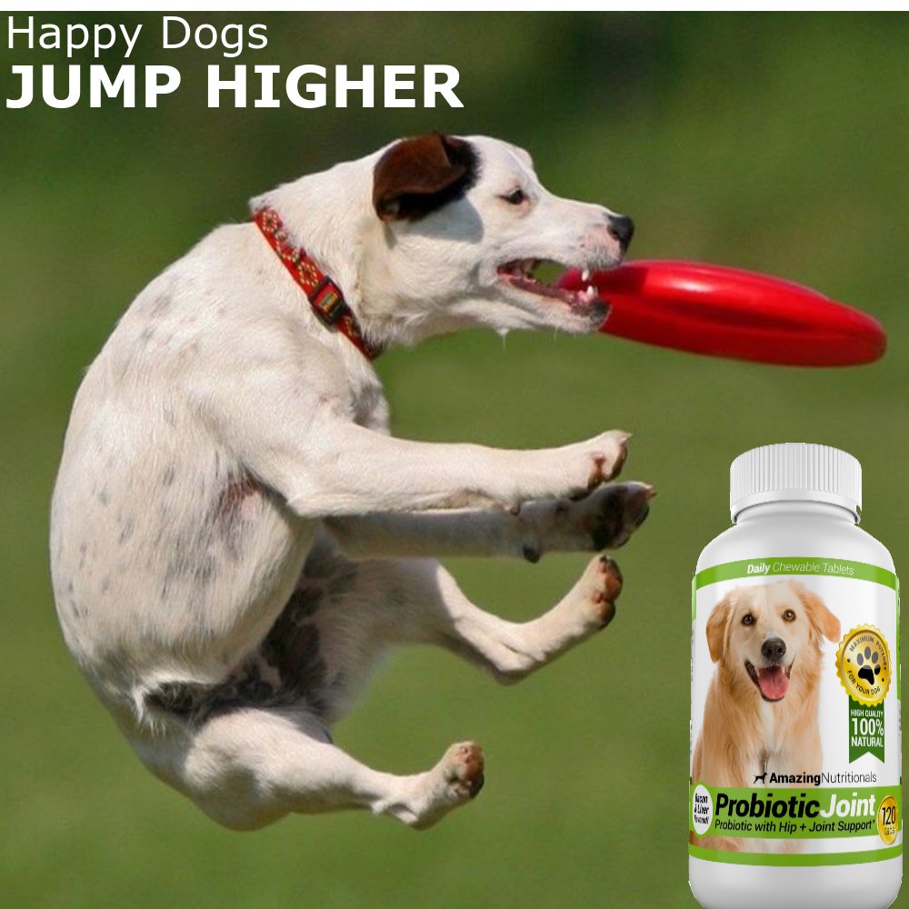 Probiotics for Dogs 120 Chews C6895