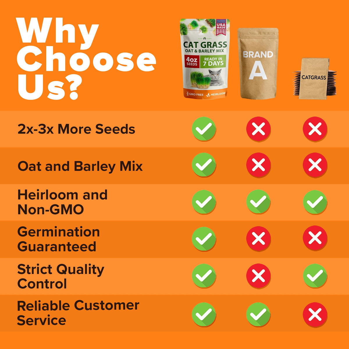 Cat Grass Seeds 4 oz Oat & Barley Mix R5882