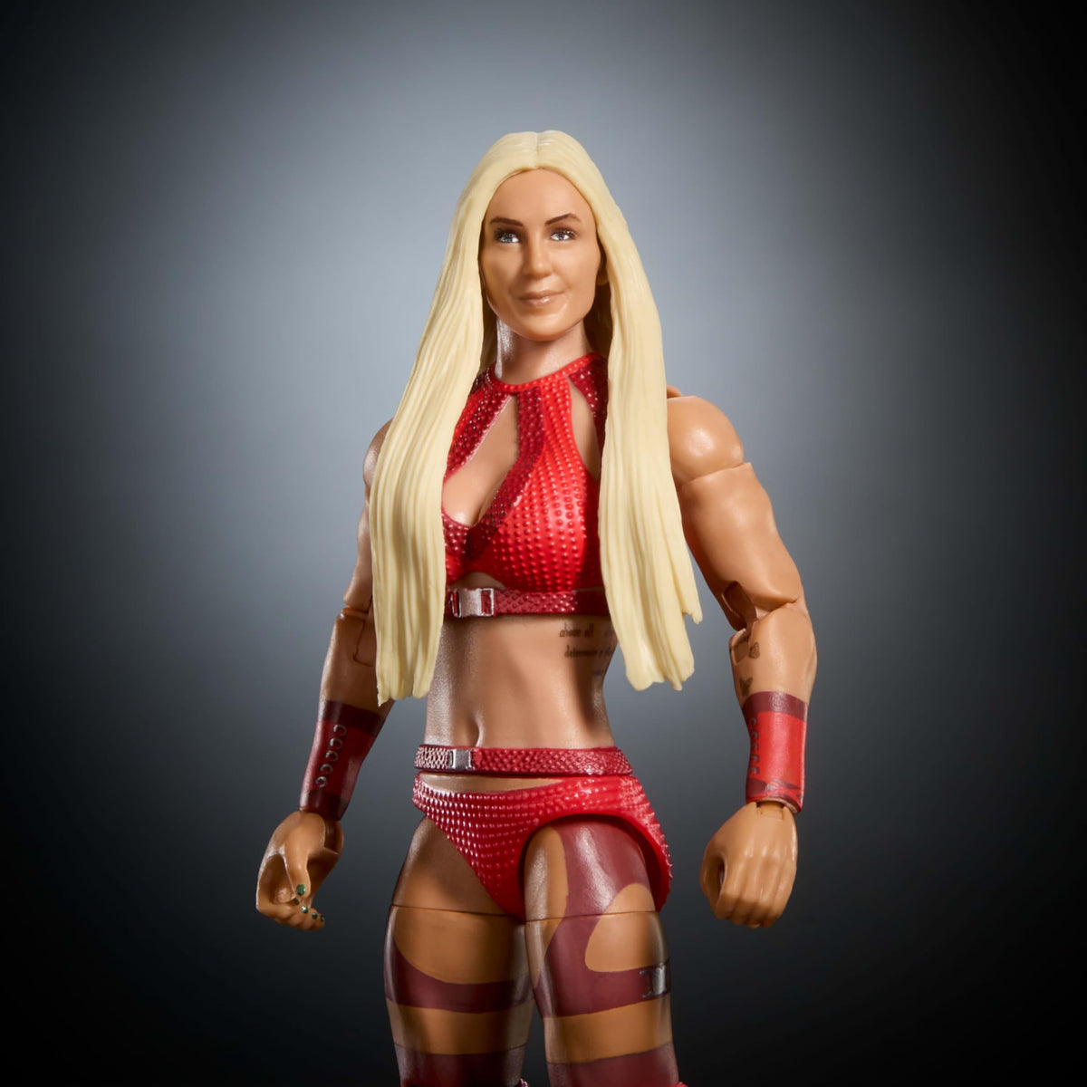 WWE Elite Collection Action Figure & Accessories Set J82267