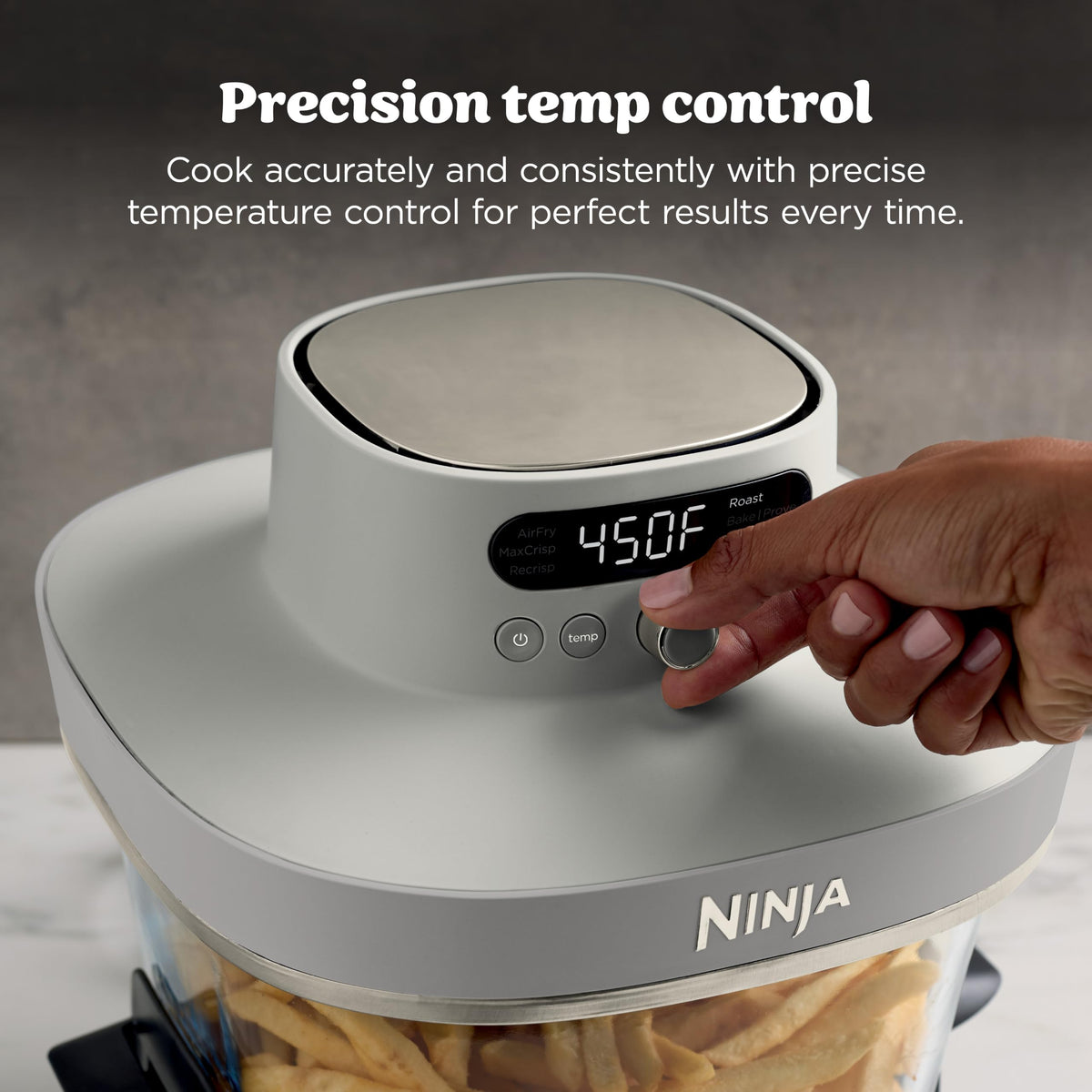Glass Air Fryer P841