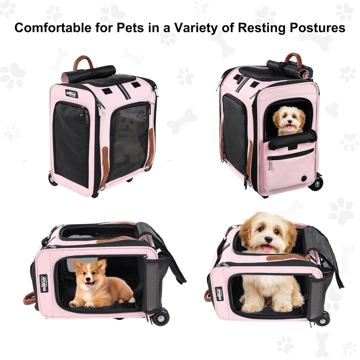 Rolling Dog & Cat Carrier R88384
