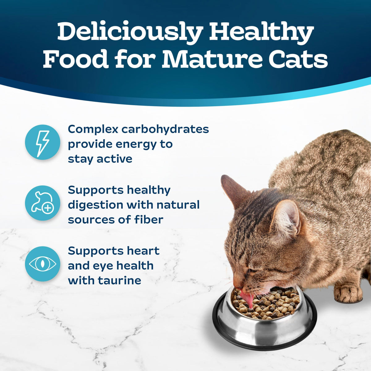 Chicken & Brown Rice Senior Dry Cat Food, 3 lb F981205