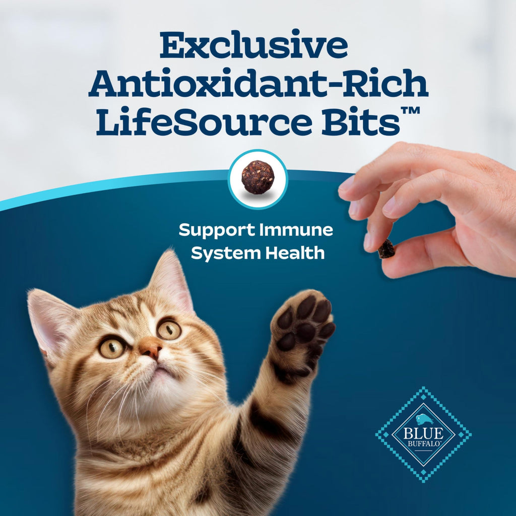 Chicken & Brown Rice Senior Dry Cat Food, 3 lb F981205