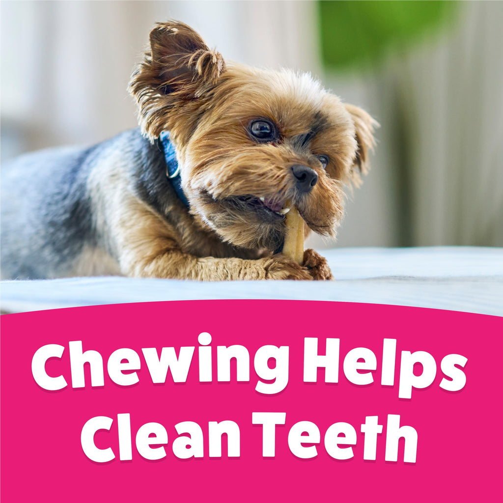 Dog Chew Treats 60 ct Pouch I852