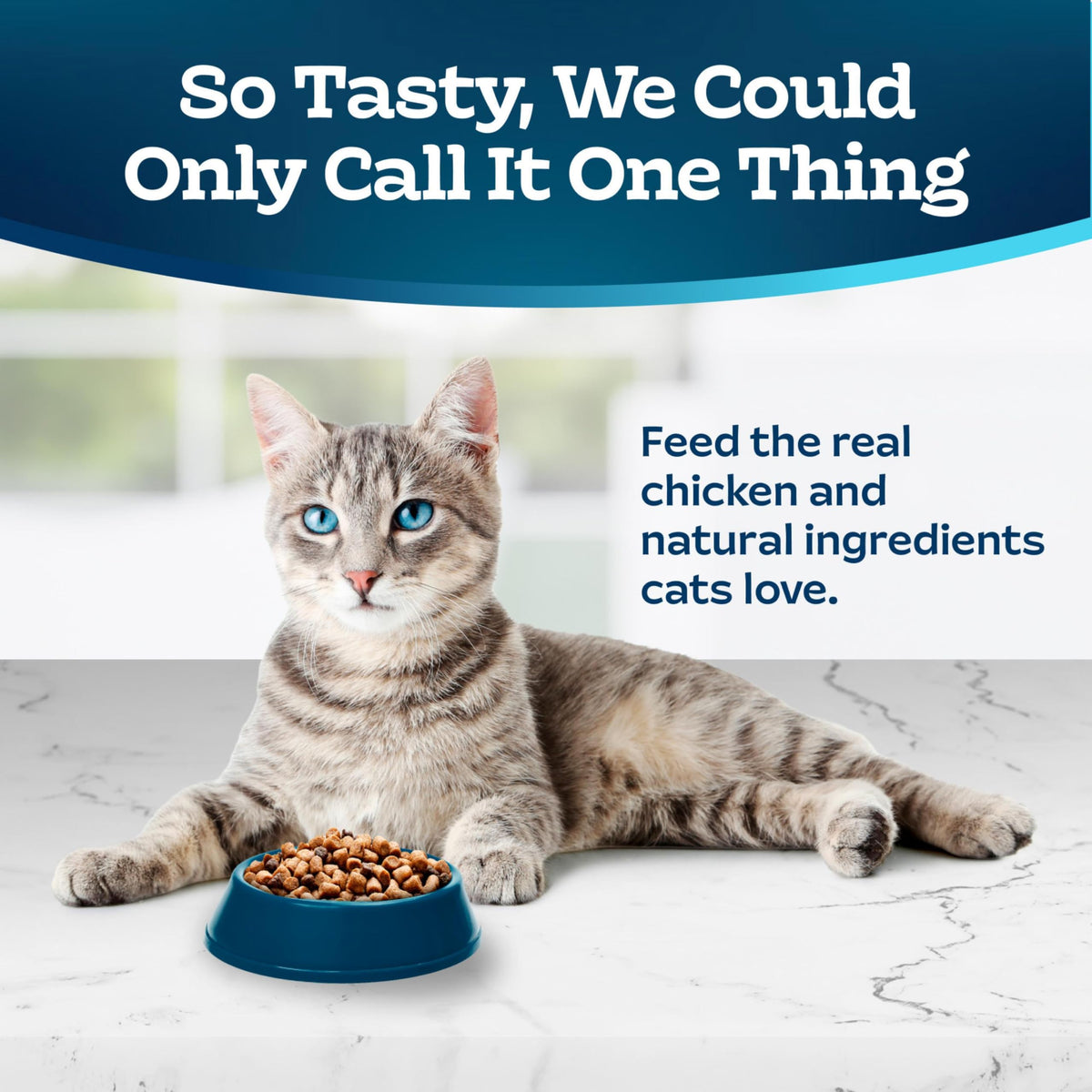 Chicken & Brown Rice Senior Dry Cat Food, 3 lb F981205