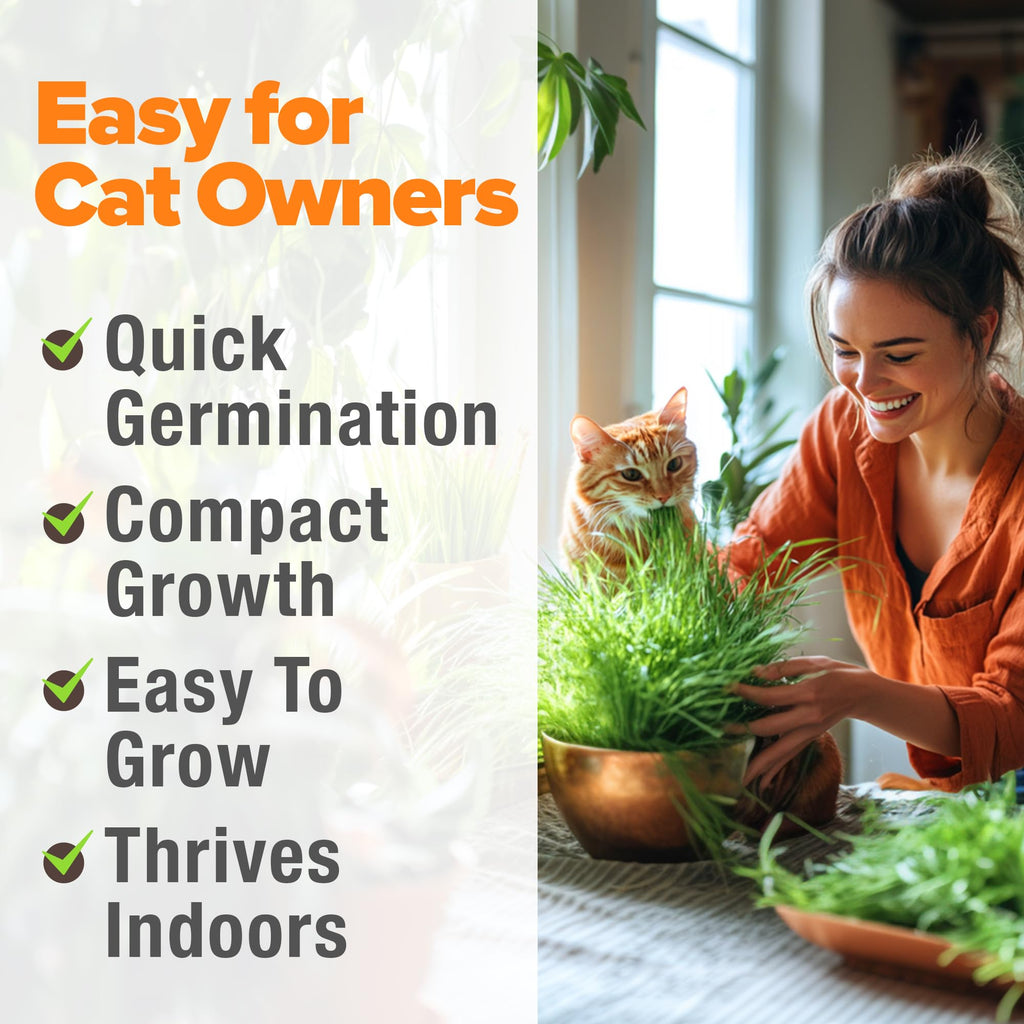 Cat Grass Seeds 4 oz Oat & Barley Mix R5882