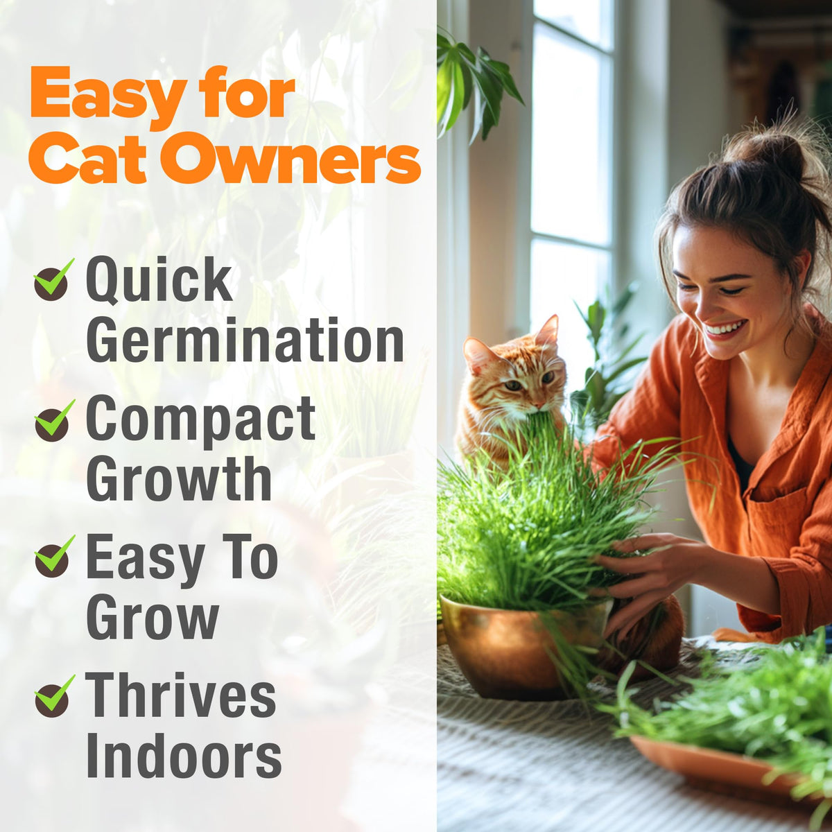 Cat Grass Seeds 4 oz Oat & Barley Mix R5882