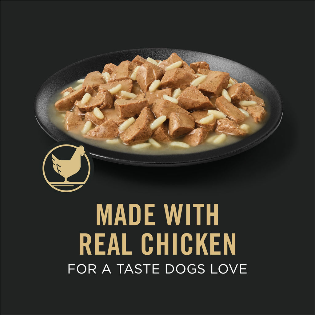 Chicken Gravy Wet Dog Food 13 oz P125