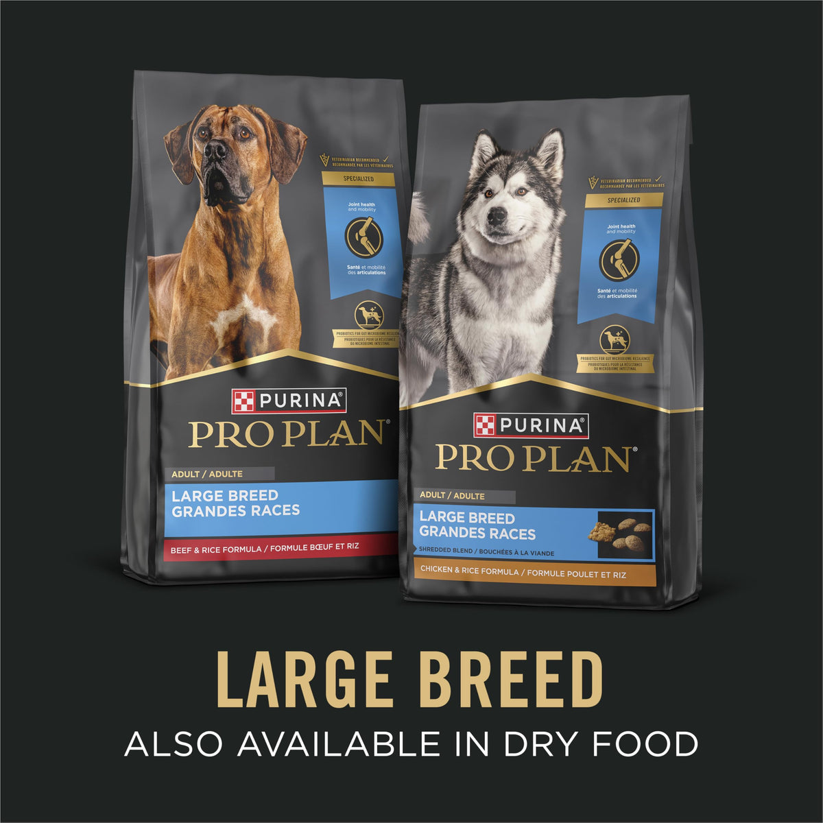 Chicken Gravy Wet Dog Food 13 oz P125