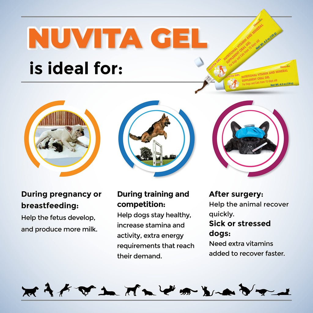 Nutritional Vitamin Gel for Dogs and Cats 4.2 oz Z340