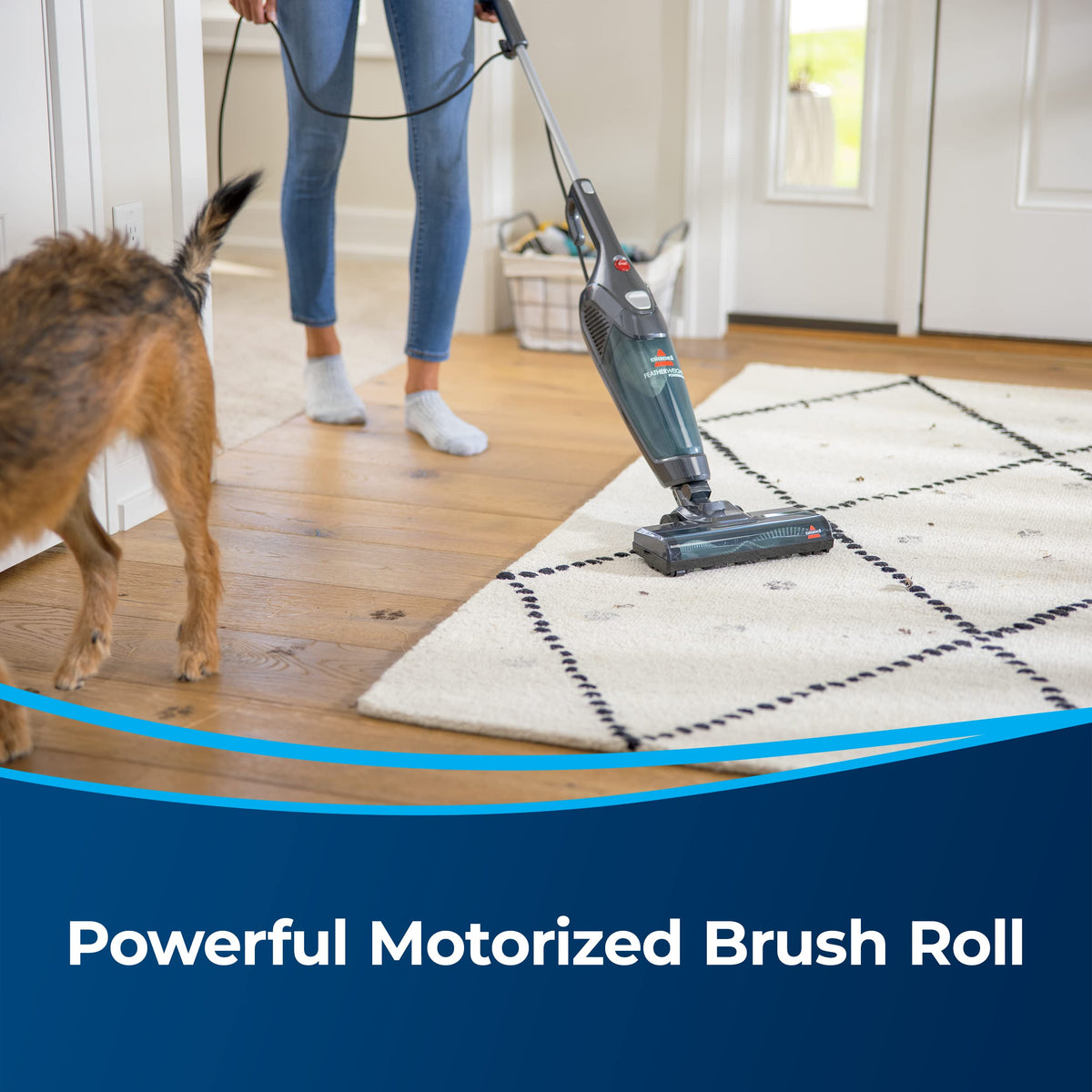 Featherweight PowerBrush Vacuum C2009