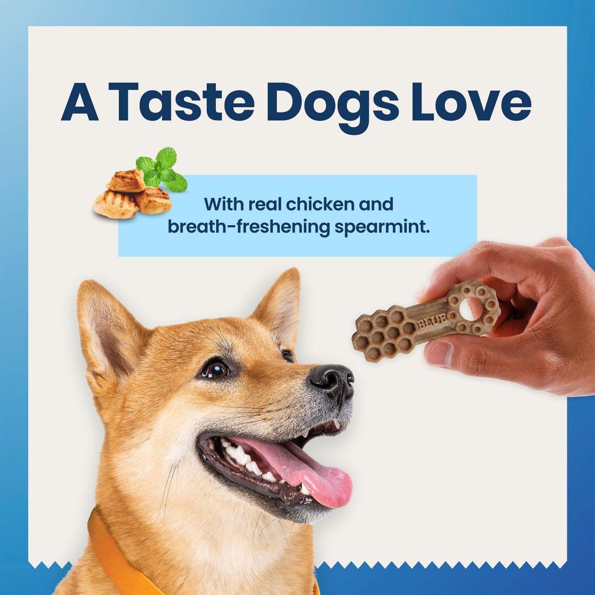 Chicken & Spearmint Medium Dental Chews, 11.5 oz, 14 ct Q5372