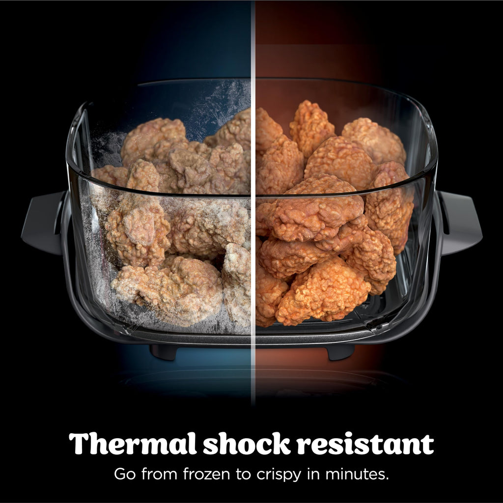 Glass Air Fryer P841