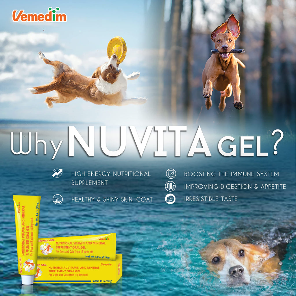 Nutritional Vitamin Gel for Dogs and Cats 4.2 oz Z340
