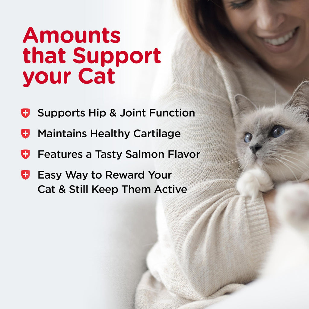 Cat Hip & Joint Supplement Glucosamine 3oz W7662