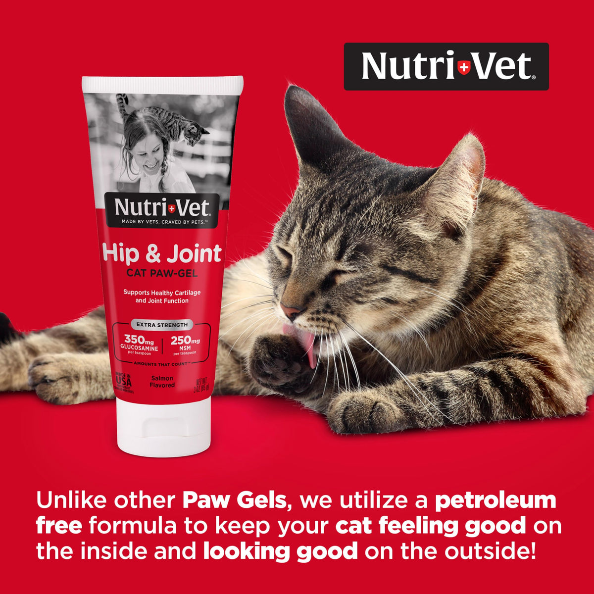 Cat Hip & Joint Supplement Glucosamine 3oz W7662