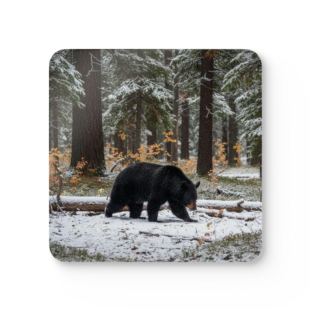 Set of 4 Coasters L174270