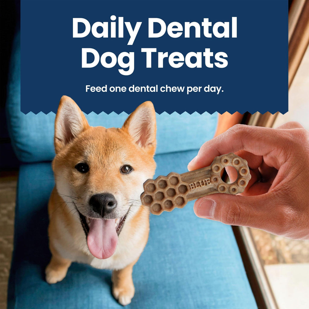 Chicken & Spearmint Medium Dental Chews, 11.5 oz, 14 ct Q5372