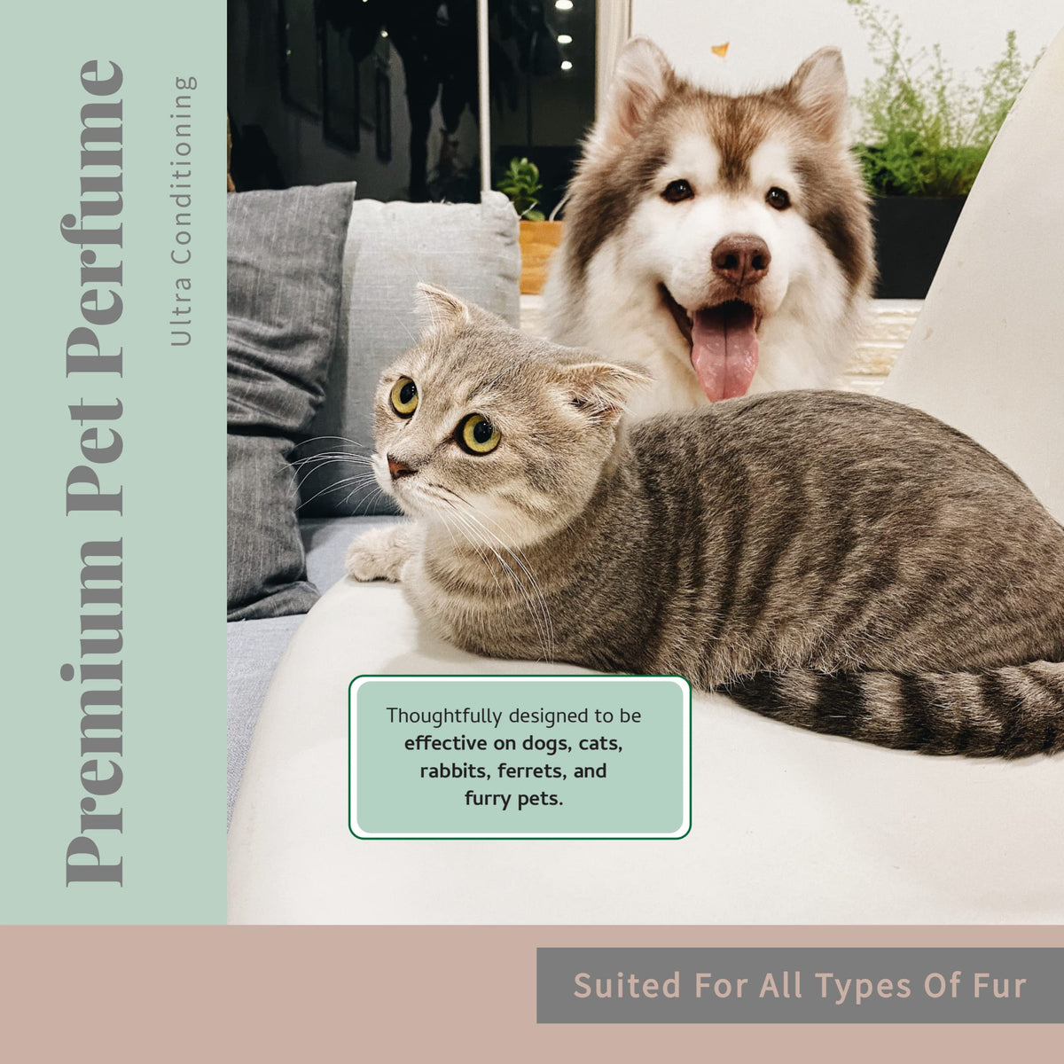 Pet Cologne and Deodorizer 8 oz F517796