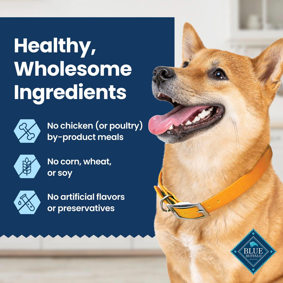 Chicken & Spearmint Medium Dental Chews, 11.5 oz, 14 ct Q5372