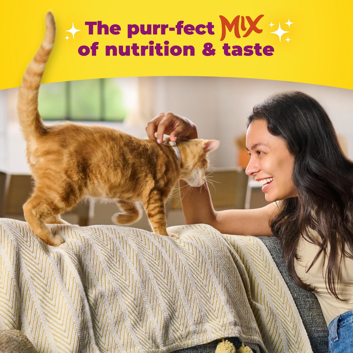 Dry Cat Food for Kittens, 4 Bags Q19847