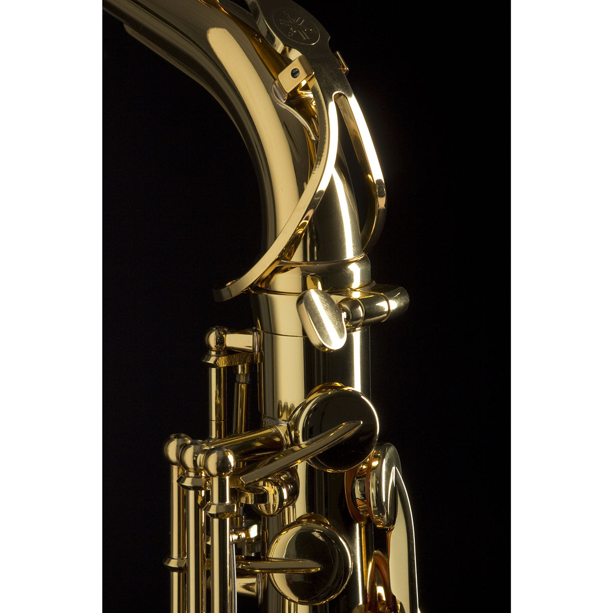 Alto Saxophone Eb Gold Lacquer T377396