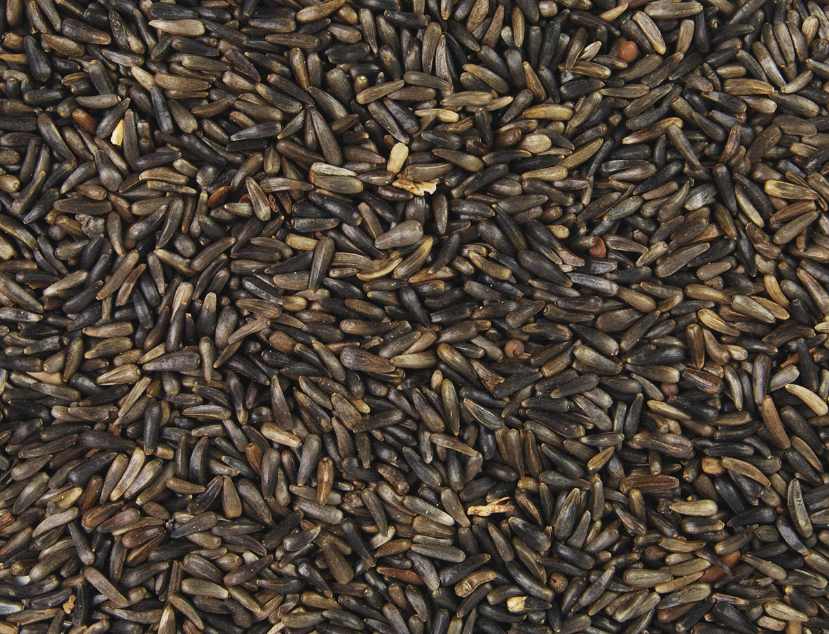 Nyjer Thistle Bird Seed 20-Pound Bag P7627